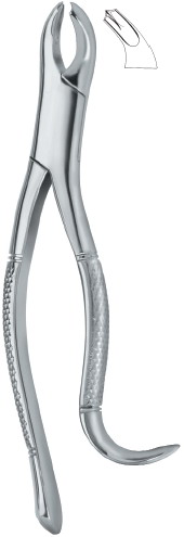 Tooth Extracting Forceps|(amr)