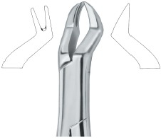Nevius Molars , Left 88L