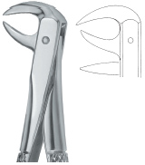 Molars with carious or broken caps 86A